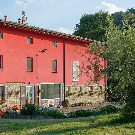 Al Sasseto B&B Montagnana  エクステリア 写真